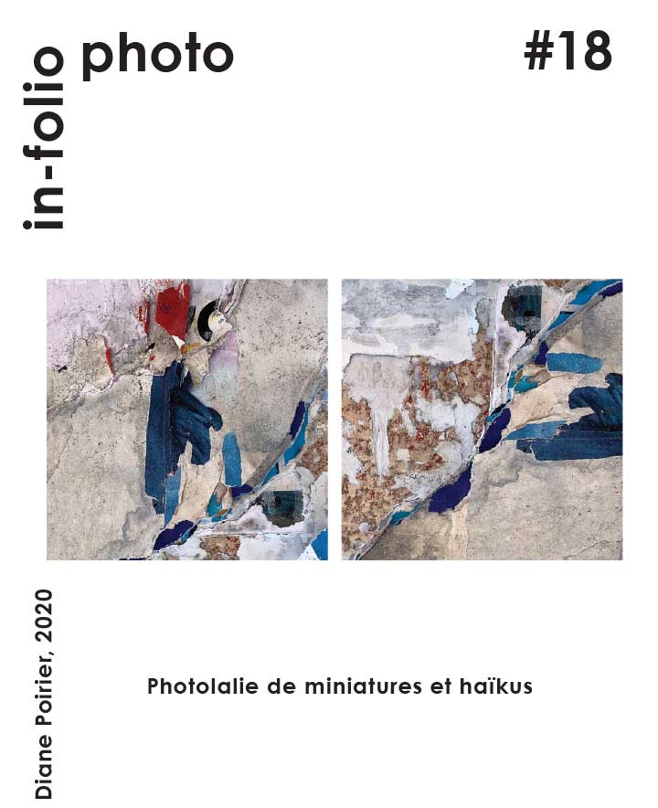 In-folio photo #18 / Photolalie de miniatures et haïkus / Diane Poirier, 2020.