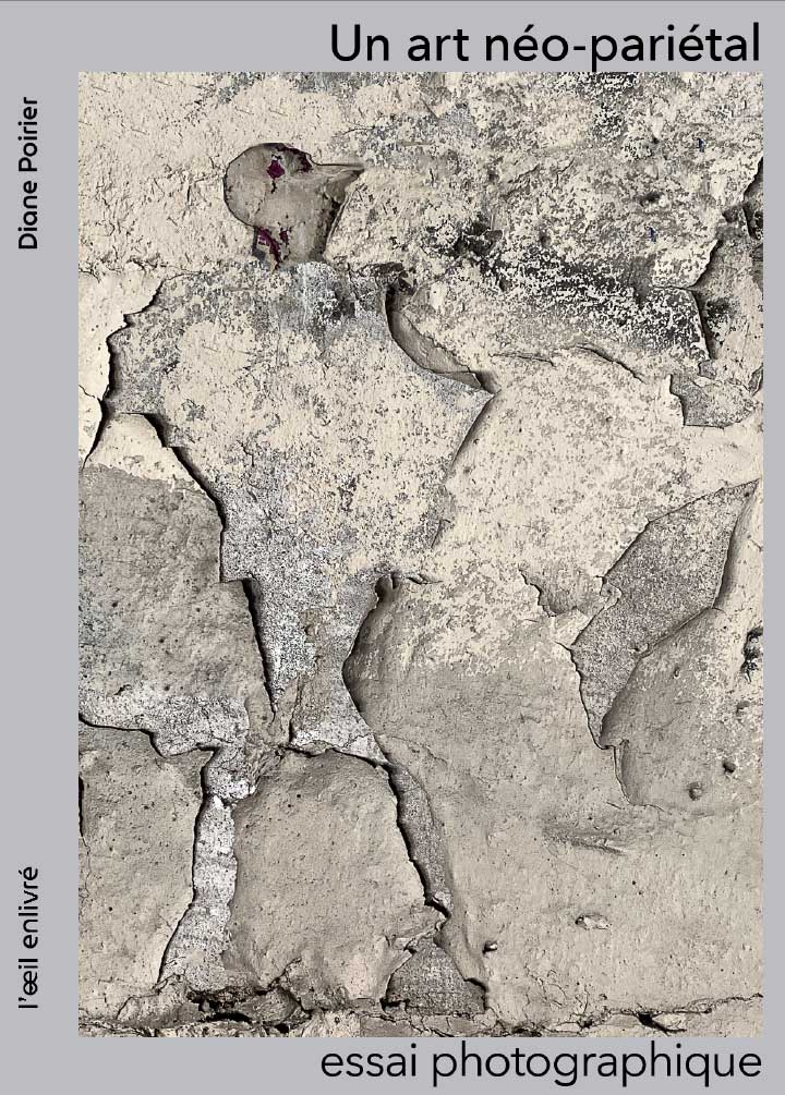 Un art néo-pariétal : essai photographique